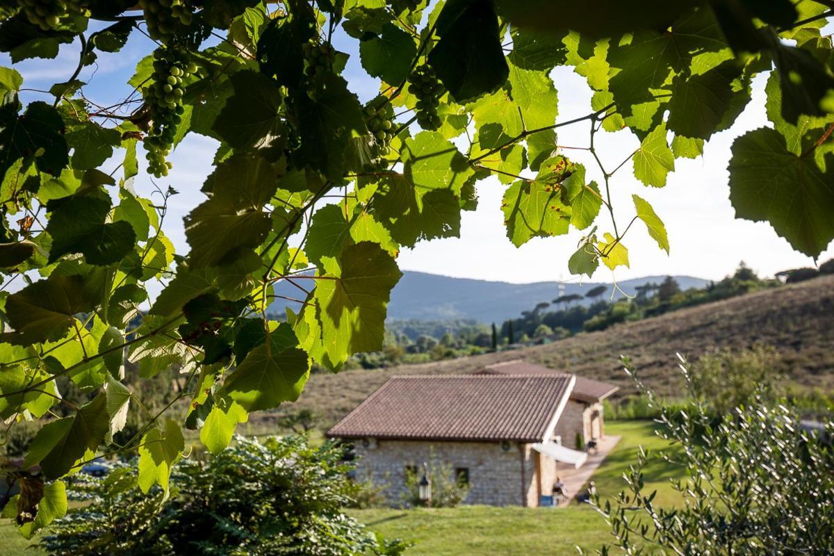 Tenuta I Tufari Tivoli Dış mekan fotoğraf