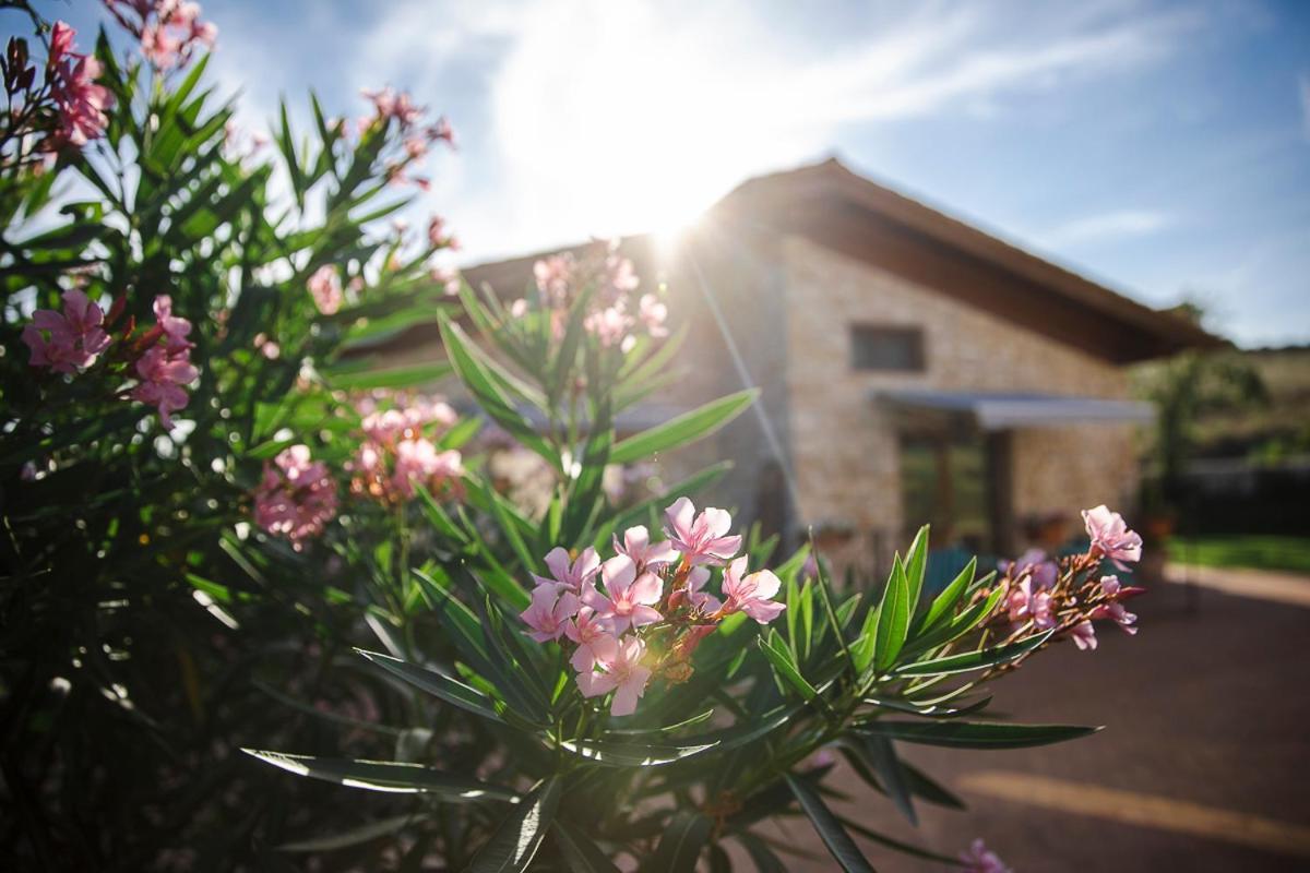 Tenuta I Tufari Tivoli Dış mekan fotoğraf